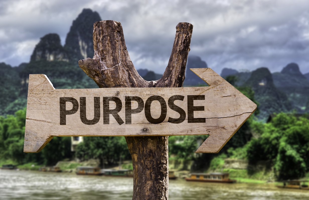 Allowing Purpose To Drive Your Business